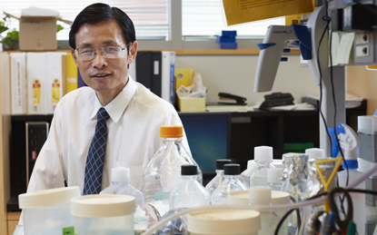 Huakun Xu, Director of the Biomaterials and Tissue Engineering Department 