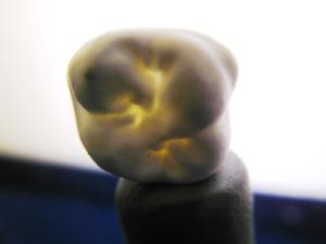 3d-print-5