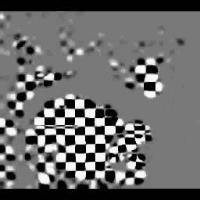 AA_OO_sound