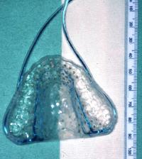 epg_palate