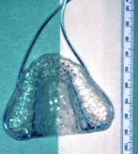 epg_palate