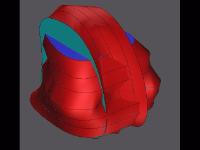 sha_back_image