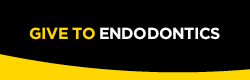 Give to Endodontics