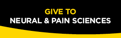 Give to Neural and Pain Sciences