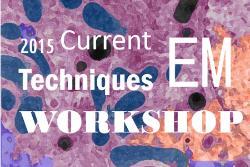 Current EM Techniques workshop