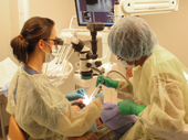 Two dentists performing a dental procedure