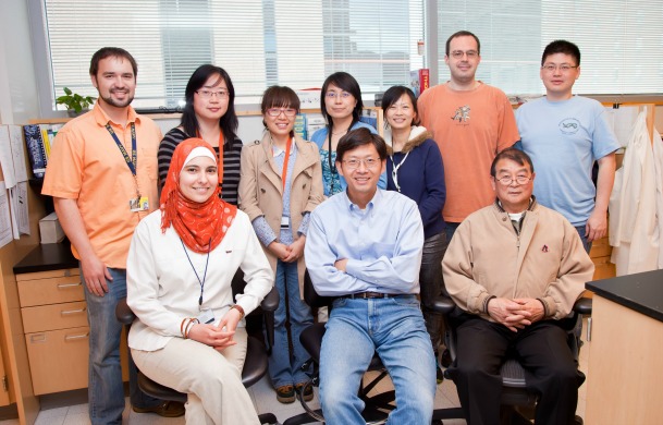 H. Feng Lab 2013