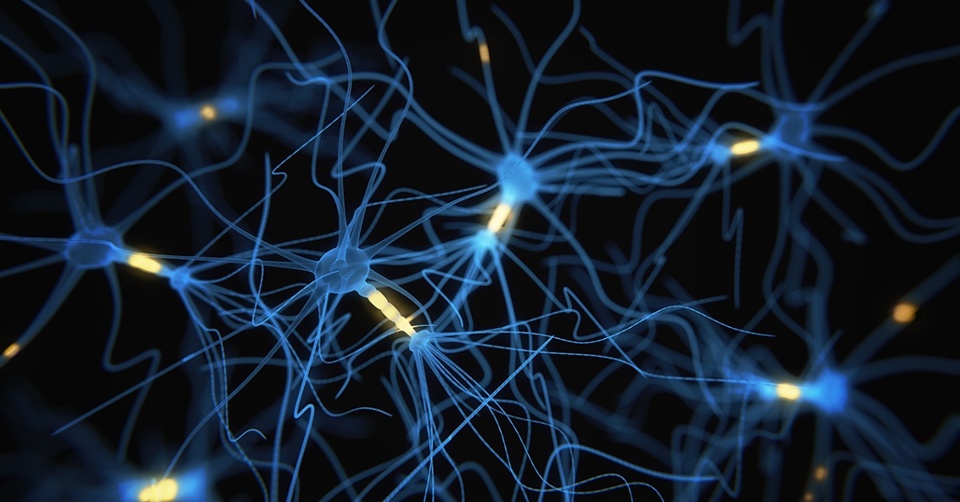 Image of neurons firing