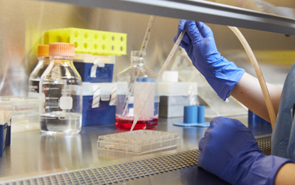 Bioengineering lab at UMSOD