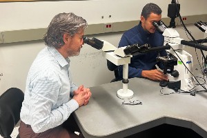 Members of the Oral Pathology team perform lab work