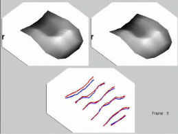 Screenshot from a movie simulating uncorrolated segmental movement of the tongue